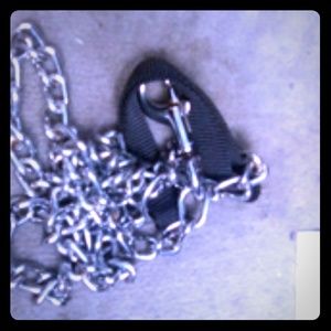 Dog chain